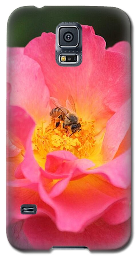 Honey Bee Galaxy S5 Case featuring the photograph Sunrise by Amy Gallagher