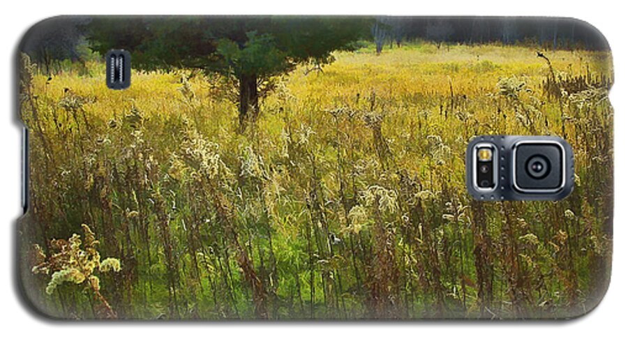 Nature Galaxy S5 Case featuring the photograph Sunset Meadow by John Hansen