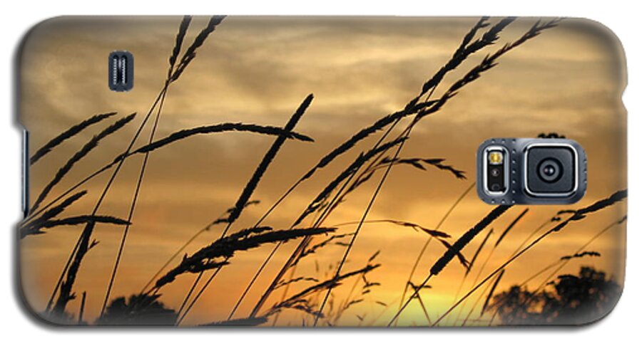 Grass Galaxy S5 Case featuring the photograph Sunset Sentinels by Carolyn Jacob