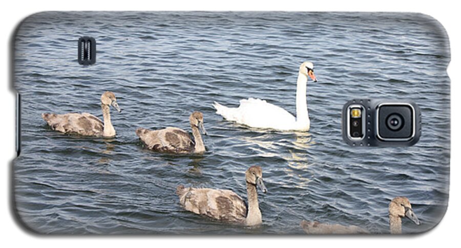 Swan And His Ducklings Galaxy S5 Case featuring the photograph Swan and his Ducklings by John Telfer