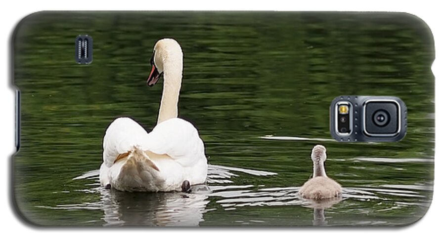 Cygnet Galaxy S5 Case featuring the photograph Swan Song by Rona Black