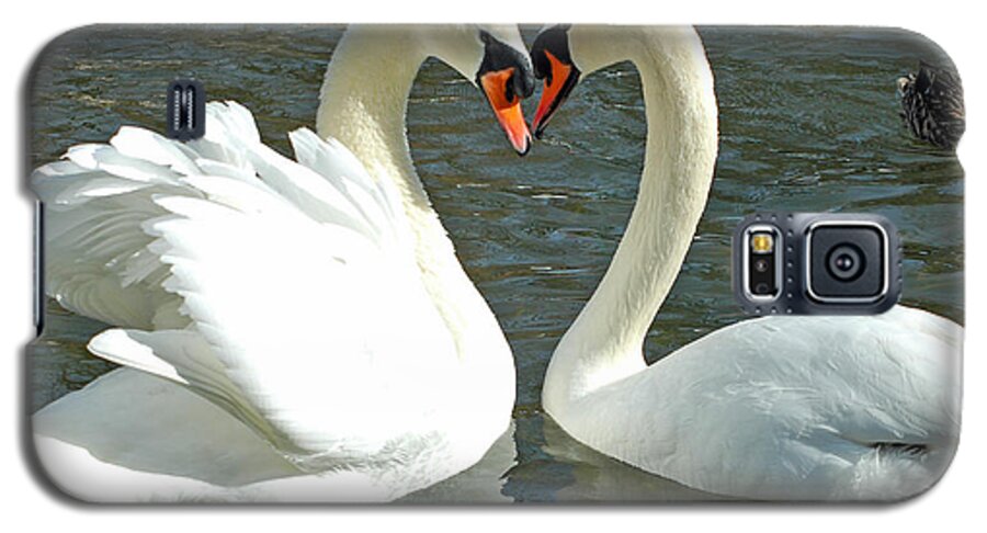 Nature Galaxy S5 Case featuring the photograph Swans At City Park by Olivia Hardwicke