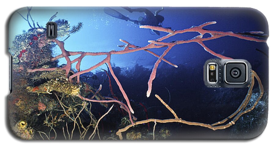 Angle Galaxy S5 Case featuring the photograph Swimming over the edge by Sandra Edwards