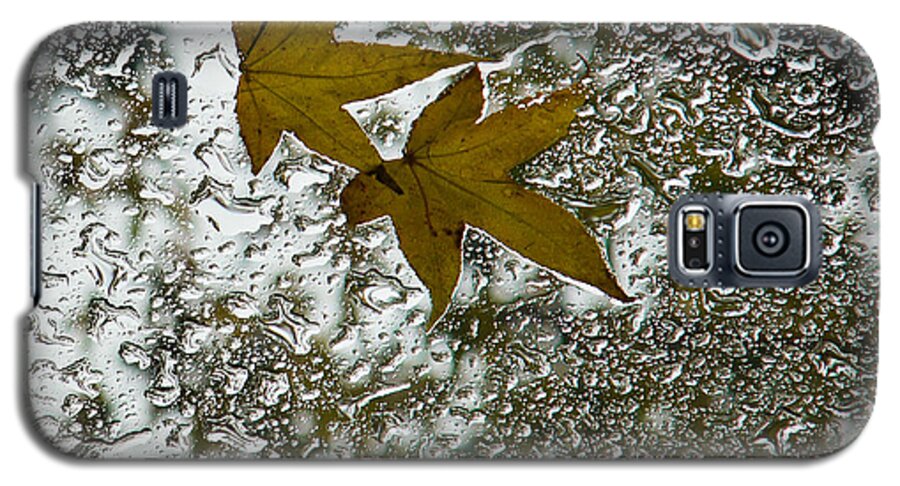 Georgia Mizuleva Galaxy S5 Case featuring the photograph Symbols of Autumn by Georgia Mizuleva