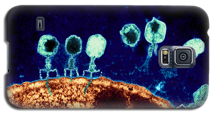 Bacteriophage Galaxy S5 Case featuring the photograph T-bacteriophages and e-coli by Eye Of Science