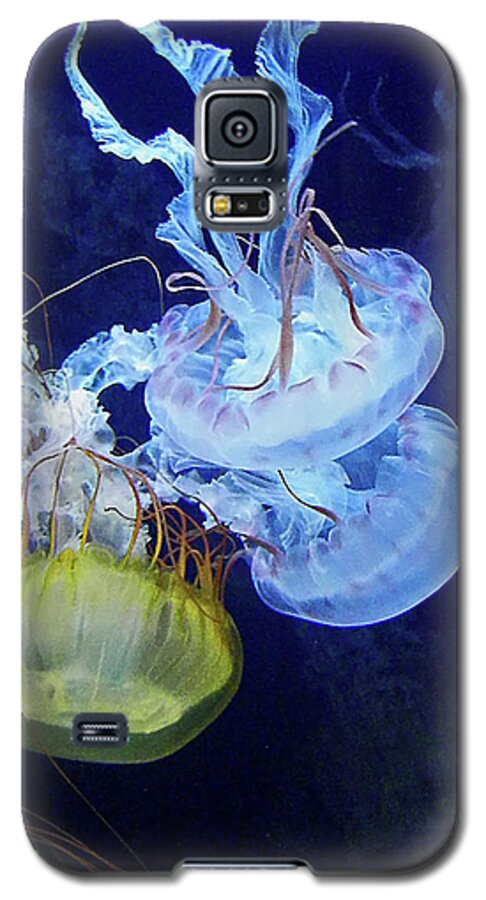 Jellyfish Galaxy S5 Case featuring the photograph Taking the Plunge by Elizabeth Hoskinson