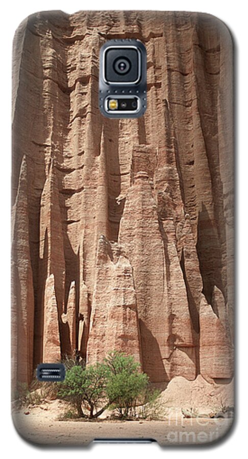 Prott Galaxy S5 Case featuring the photograph Talampaya Gorge Argentina by Rudi Prott
