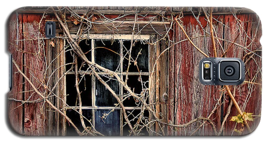Barn Galaxy S5 Case featuring the photograph Tangled Up In Time by Lois Bryan