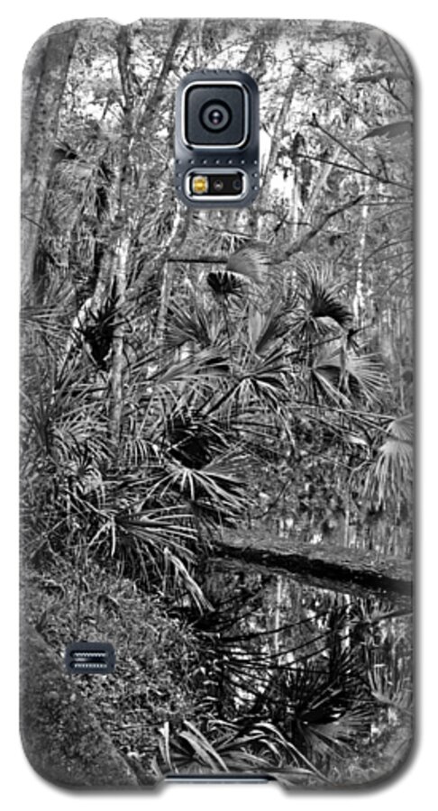Black & White Landscape Galaxy S5 Case featuring the photograph Tannic Creek. Green Swamp Wildlife Management Area Polk County. by Chris Kusik