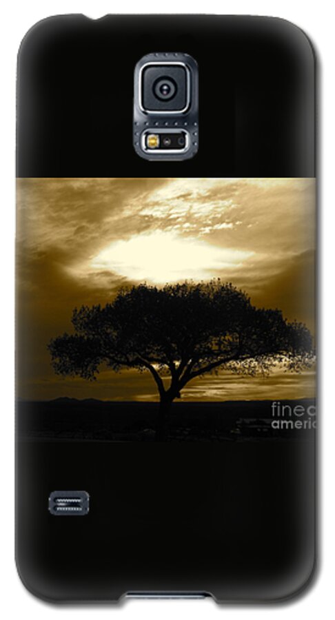Tree Galaxy S5 Case featuring the photograph Taos Tree by LeLa Becker