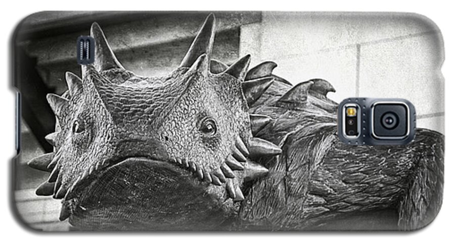Joan Carroll Galaxy S5 Case featuring the photograph TCU Horned Frog BW by Joan Carroll