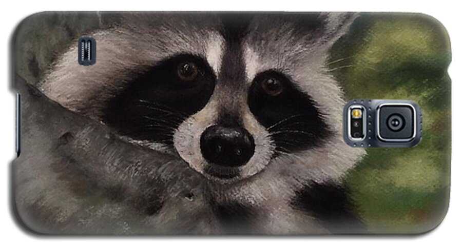 Raccoons Galaxy S5 Case featuring the painting Tennessee Wildlife - Raccoon by Annamarie Sidella-Felts