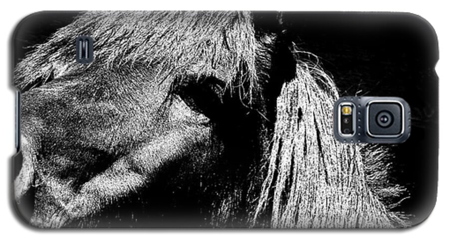 Horse Galaxy S5 Case featuring the photograph Teton Horse by Ron White