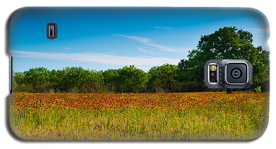 Texas Hill Country Galaxy S5 Case featuring the photograph Texas Hill Country Meadow by Darryl Dalton