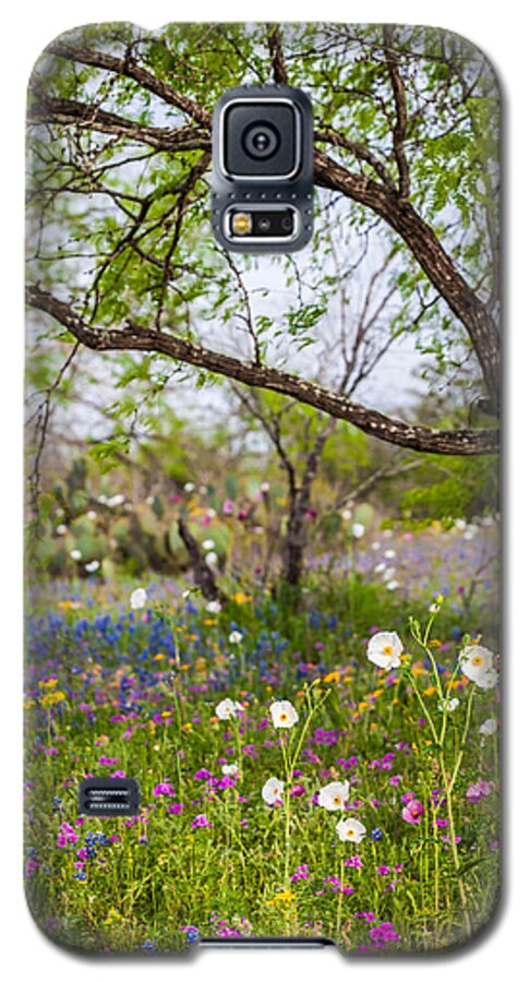 Lupinus Texensis Galaxy S5 Case featuring the photograph Texas Roadside Wildflowers 732 by Melinda Ledsome