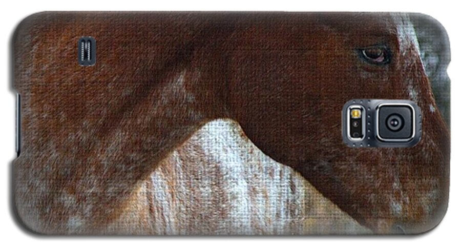 Horses Galaxy S5 Case featuring the photograph Textures on Paint by Veronica Batterson
