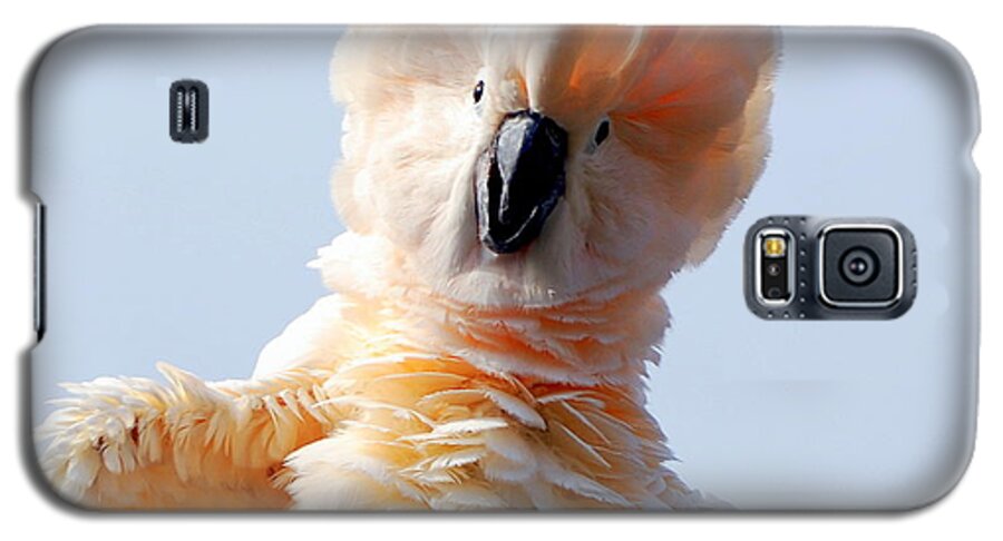 Birds Galaxy S5 Case featuring the photograph That Thing That You Do by AJ Schibig