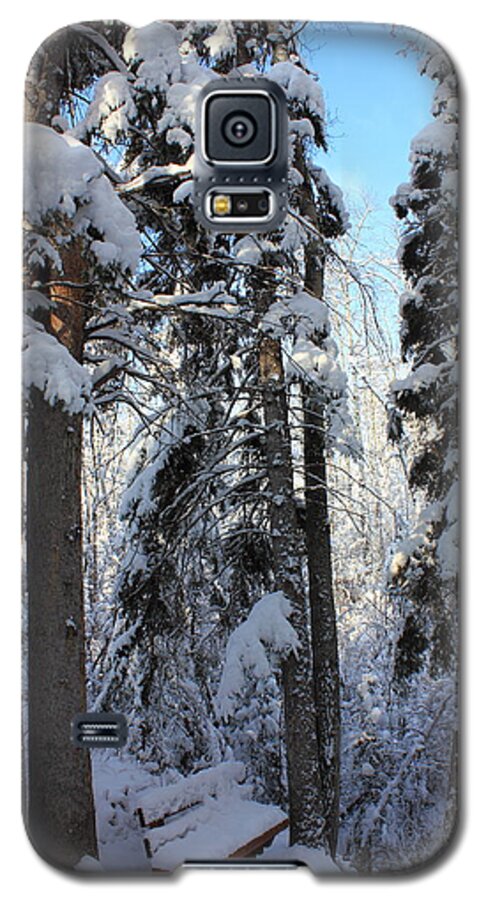 Snow Galaxy S5 Case featuring the photograph The Bench in Winter by Jim Sauchyn