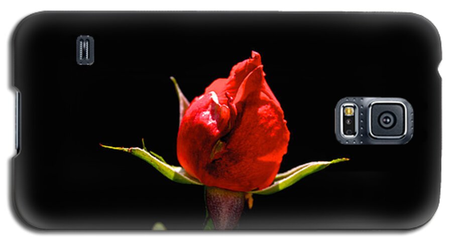 Bud Galaxy S5 Case featuring the photograph The Bud by William Norton