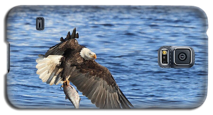 American Bald Eagle Galaxy S5 Case featuring the photograph The Catch by Coby Cooper