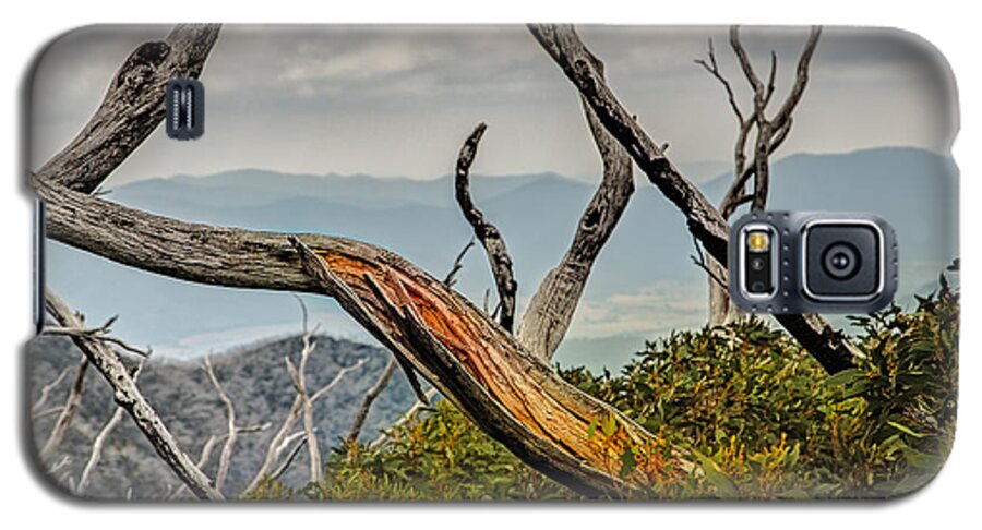 Alpine National Park Galaxy S5 Case featuring the photograph The Colour Within by Mark Lucey