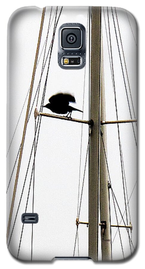 Crows Galaxy S5 Case featuring the photograph The Crow Leaving The Absent Crows Nest by John King I I I