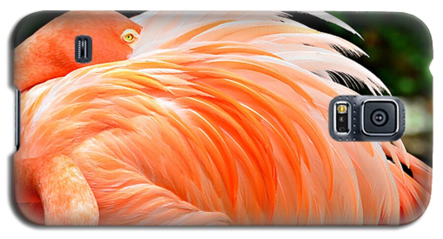 Flamingo Galaxy S5 Case featuring the photograph The Flamingo by Ally White