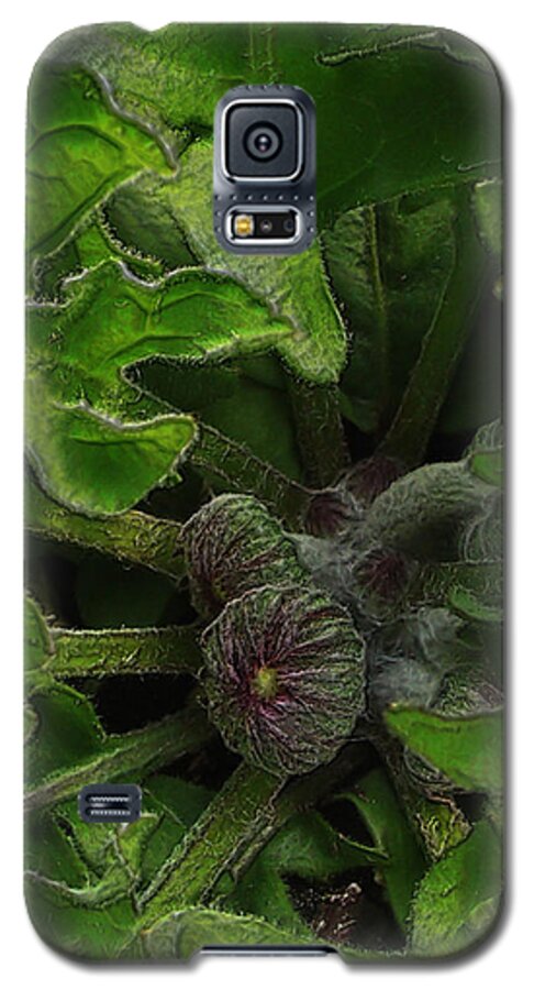 Flowers Galaxy S5 Case featuring the photograph The Future in the Bud by Larry Capra