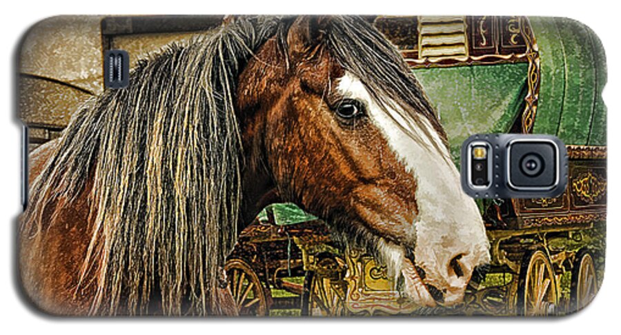 Gypsy Horse Galaxy S5 Case featuring the photograph The Gypsy Vanner by Brian Tarr
