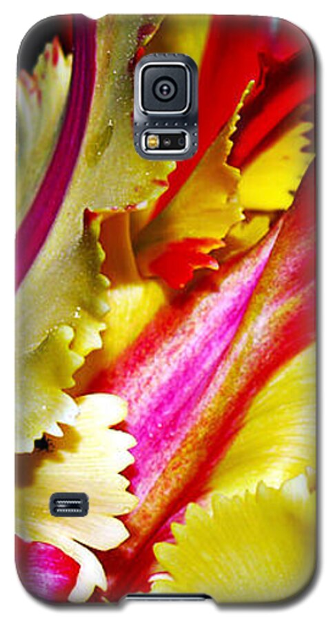 Flower Photography Galaxy S5 Case featuring the photograph The Intruder by Patricia Griffin Brett