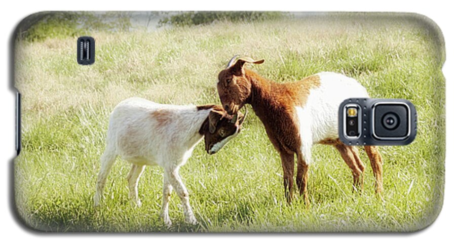 Goat Galaxy S5 Case featuring the photograph The Kiss by Amy Tyler