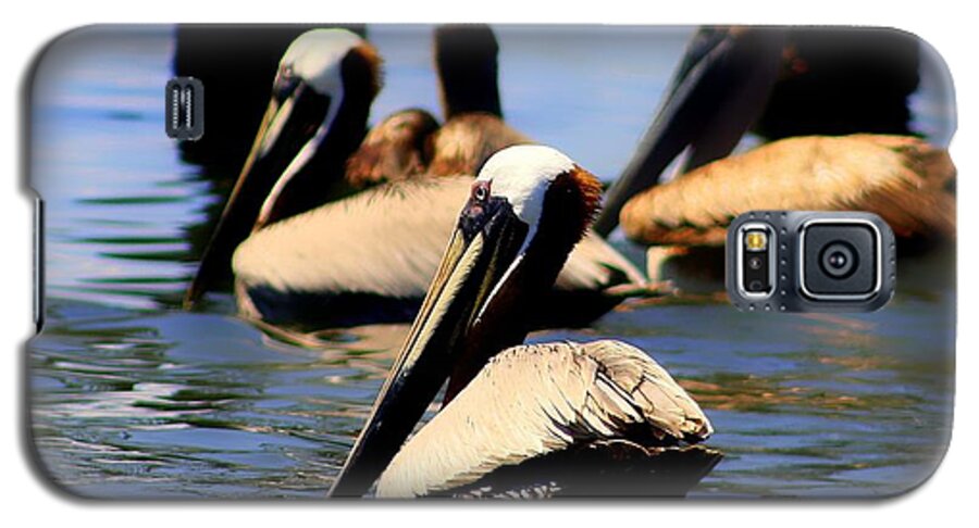 Pelican Galaxy S5 Case featuring the photograph The Lovely Pelican by Debra Forand