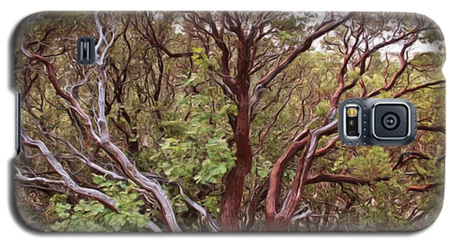 Tree Galaxy S5 Case featuring the photograph The Manzanita Tree by Heidi Smith