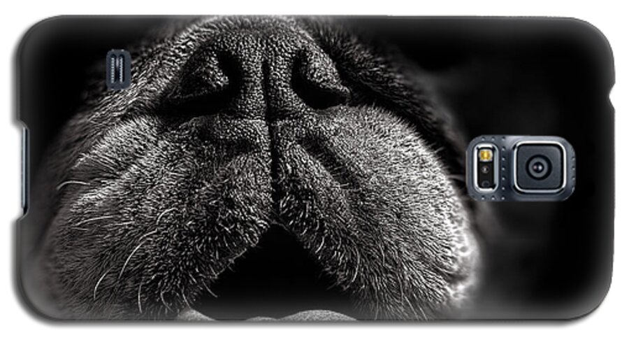 Dog Galaxy S5 Case featuring the photograph The Nose Knows by Bob Orsillo