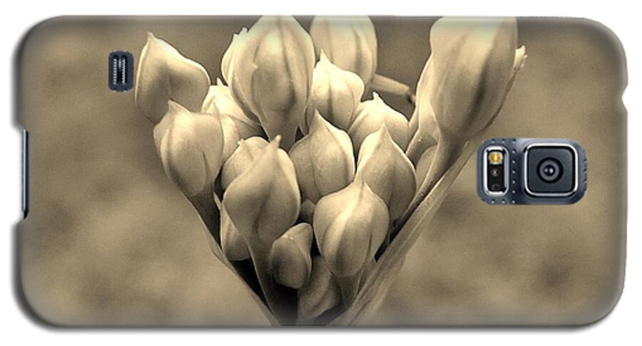 Flowers Galaxy S5 Case featuring the photograph The Offering by Bob Geary