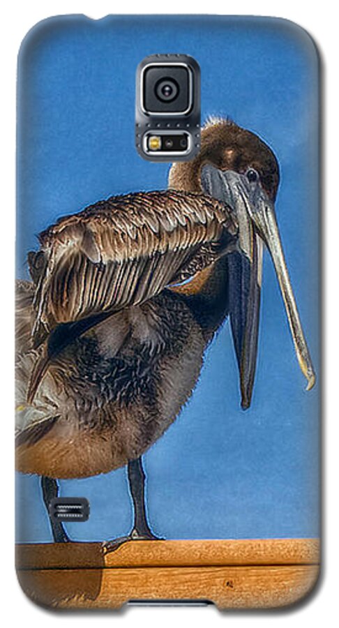 Pelican Galaxy S5 Case featuring the photograph The Pelican by Hanny Heim