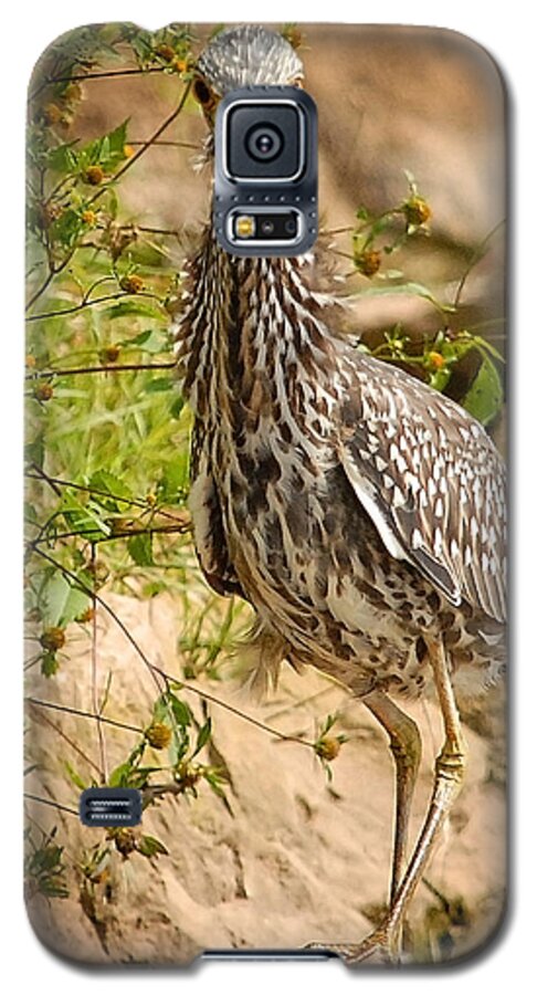 Nature Galaxy S5 Case featuring the photograph The Pose by Lena Wilhite