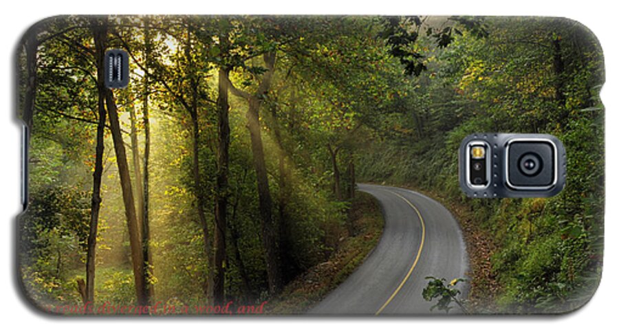 Woods Galaxy S5 Case featuring the photograph The Road Less Traveled 2 by Dan Myers