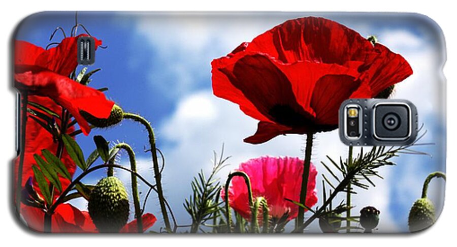 Flora Galaxy S5 Case featuring the photograph The summer poppy by Stephen Melia
