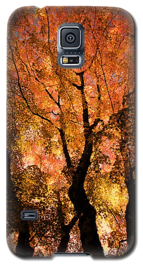 Maple Galaxy S5 Case featuring the photograph The Trees Dance as the Sun Smiles by Don Schwartz