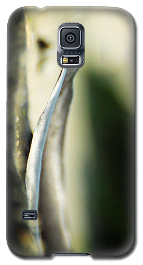 Feather Galaxy S5 Case featuring the photograph The Unchanging by Rebecca Sherman
