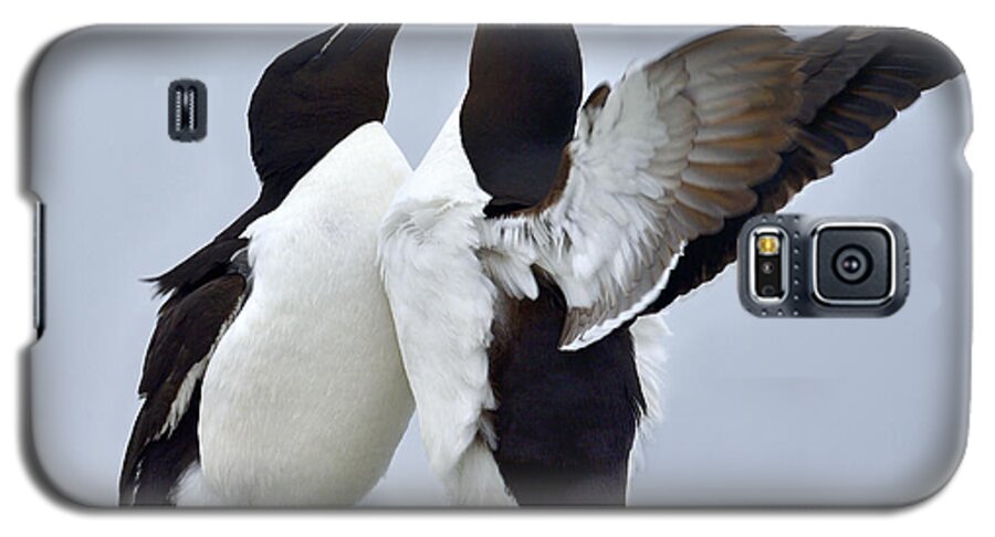 Razorbill Galaxy S5 Case featuring the photograph This Much by Tony Beck