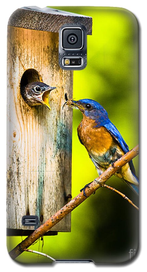 Bluebird Galaxy S5 Case featuring the photograph Time to Fly by Ronald Lutz