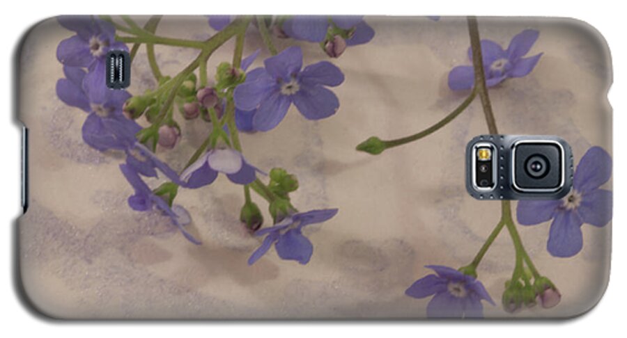 Tiny Blue Flowers Galaxy S5 Case featuring the photograph Tiny Blue by Sandra Foster
