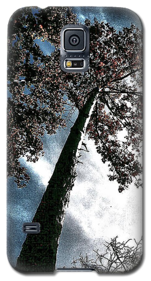 Tree Galaxy S5 Case featuring the photograph Tippy Top Tree II art by Lesa Fine