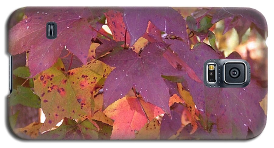 Fall Galaxy S5 Case featuring the photograph Traces of fall by Andrea Anderegg