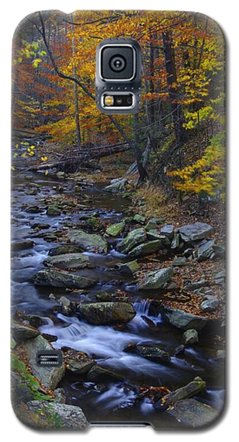 Maryland Galaxy S5 Case featuring the photograph Tracking Color - Big Hunting Creek Catoctin Mountain Park Maryland Autumn Afternoon by Michael Mazaika