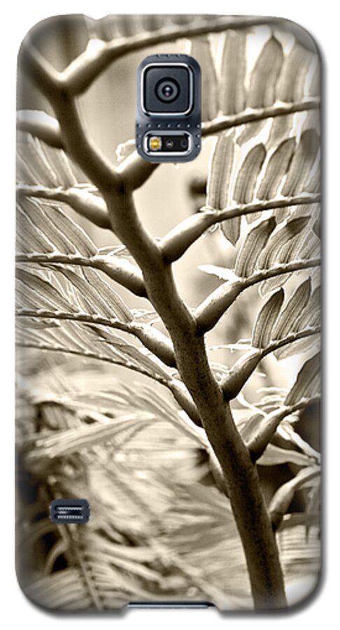 Botanical Galaxy S5 Case featuring the photograph Translucidity by Melinda Ledsome