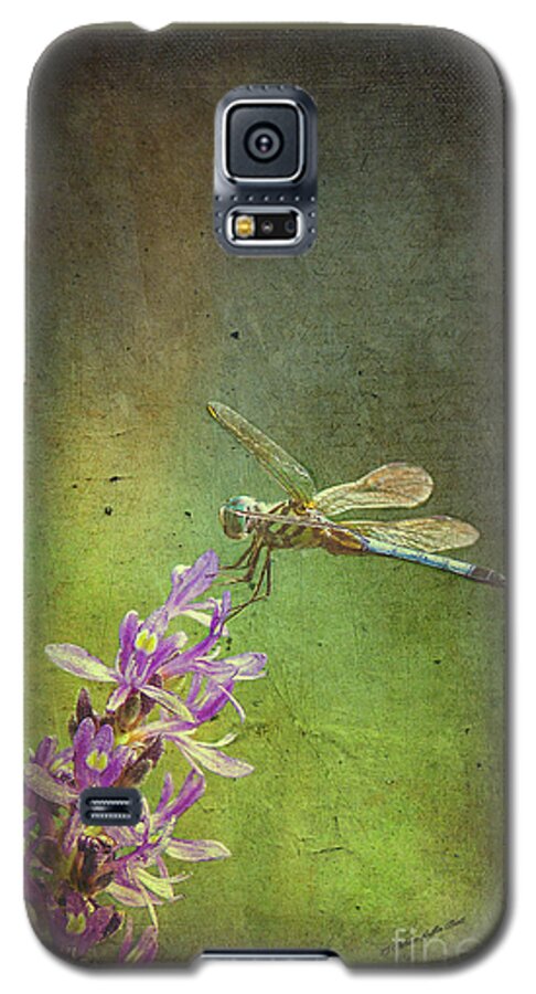 Fine Art Print Galaxy S5 Case featuring the mixed media Treading Lightly by Patricia Griffin Brett