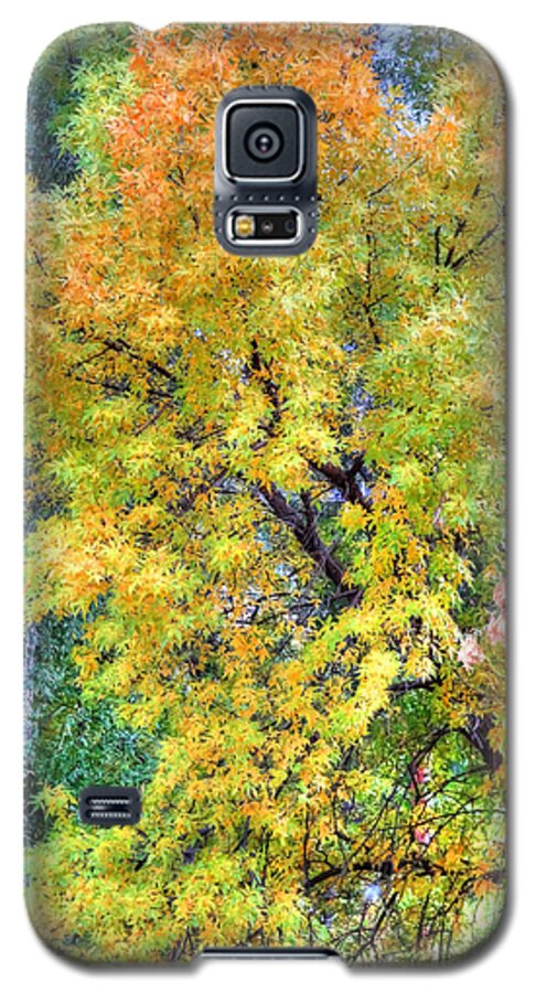 Tree Galaxy S5 Case featuring the photograph Tree on Fountain Creek by Lanita Williams